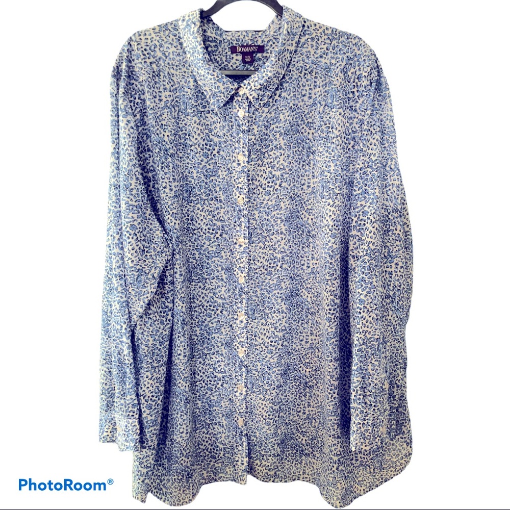 Sheer dress blouse